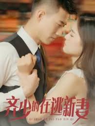 阿拉善一女战七男影视海报