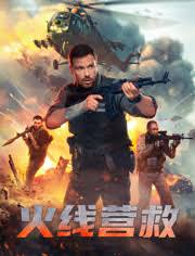 金鳞改之何丽萍全文影视海报