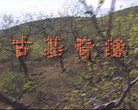 夏目友人帐5影视海报