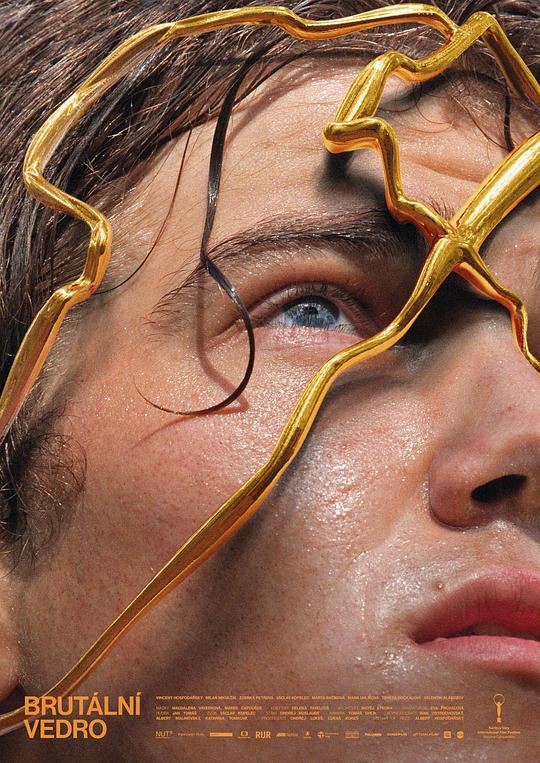 冰冷热带鱼影视海报