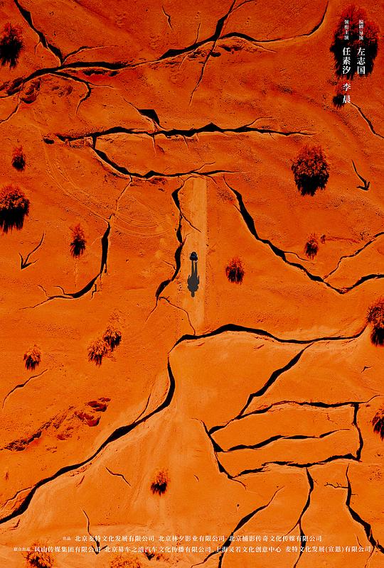 师父条炼影视海报