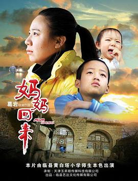 婚姻合伙人在线影视海报