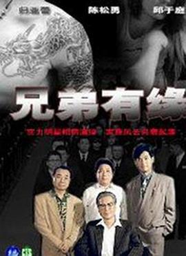 暗算电视剧影视海报