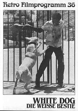 永久绿色小导航影视海报